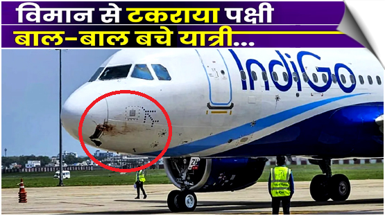 Uttarakhand | Indigo plane damaged after being struck by bird in Rishikesh