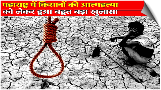 Maharashtra | 899 farmers committed suicide in Marathwada during January-October