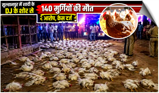 UP | Sultanpur: 140 chickens reportedly died by cardiac arrest after being exposed to extr,emely loud DJ music, case filed, India