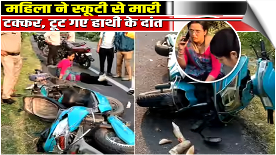 Uttarakhand: Wild Elephant Collides with Scooty, Tusks Shatter; Everyone Shocked