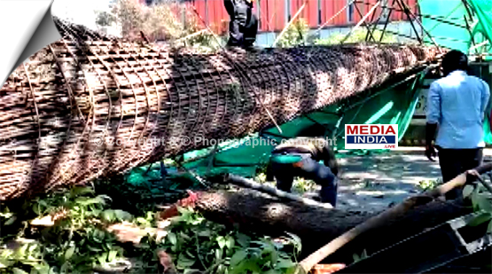 Karnataka: Metro under construction pole collapses in Nagawara area of Bengaluru