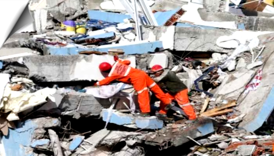 Turkey-Syria earthquake: Death toll crosses 24,000; rescue operation continues