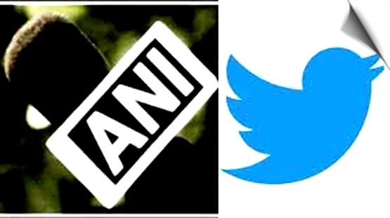 Twitter has locked out India's largest news agency ANI