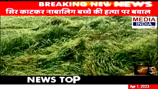 #WATCH_VIDEO | Standing crops of the farmers have been destroyed due to heavy rains & hailstorms in Khatima, Uttarakhand.