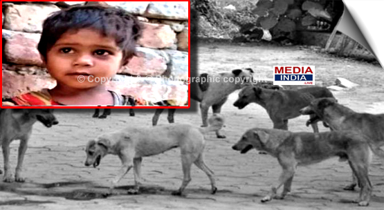 UP | Three-yr-old mauled to death by stray dogs in Agra