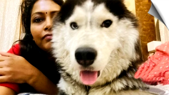 UP police desperately searched for the missing dog of Meerut commissioner