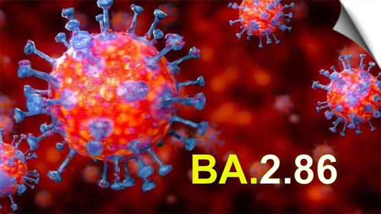 Corona returned again! New variant BA.2.86 started spreading, WHO alerted, India also alert