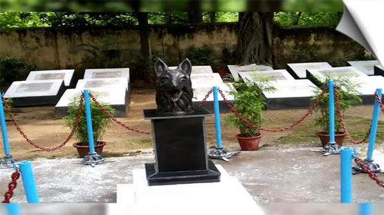 India | The only memorial of dogs, where inscriptions of bravery and loyalty are written on their graves.