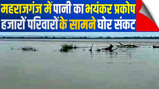 Nepal released water, fear of flood in UP's Maharajganj, hundreds of acres of crops submerged