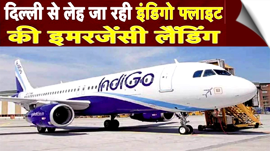 इंडिगो फ्लाइट 6E 2006 में आई तकनीकी खराबी, दिल्ली में इमरजेंसी लैंडिंग, लेह जा रहा था विमान