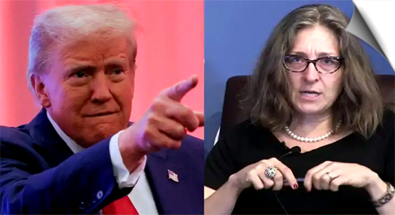 Christine Fair called Modi's friend Donald Trump a 'Chu**ya' in an interview with Moeed Pirzada