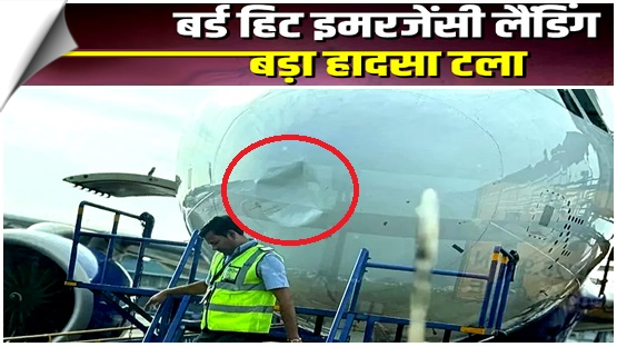 IndiGo flight damaged in bird hit, makes emergency landing at Nagpur