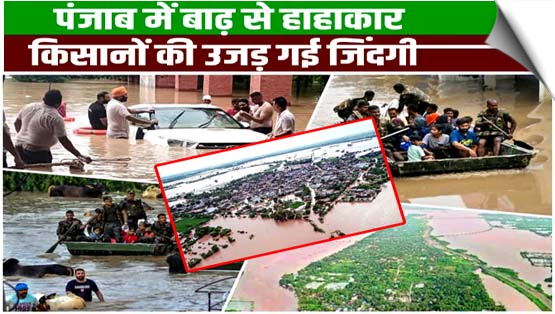 Punjab | More than 1900 villages submerged in floods, 4.38 lakh acres of crops destroyed, 43 people dead so far
