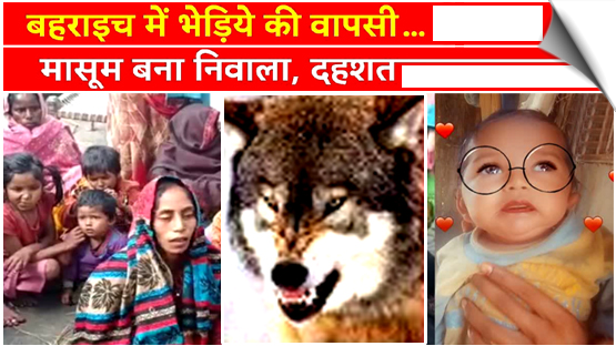 UP | 4-month-old boy dragged away from home, killed by wolf in Bahraich