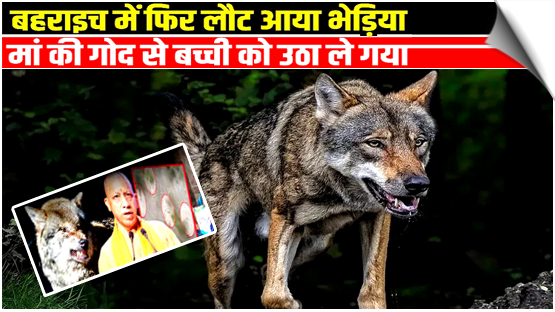 Maneaters of Bahraich: Why two villages in UP are spending sleepless nights