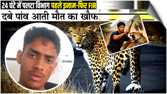 Feted for killing leopard in self-defense, Himachal youth now booked for wildlife crime
