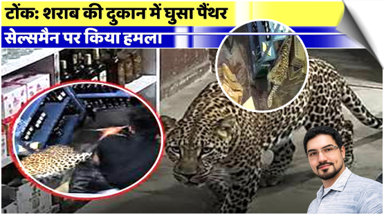 Two men were injured after a leopard attacked them in Rajasthan's Tonk, India